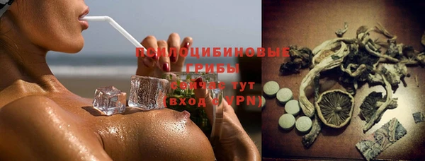 ПСИЛОЦИБИНОВЫЕ ГРИБЫ Армянск