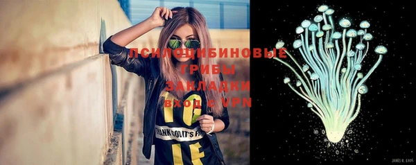 ПСИЛОЦИБИНОВЫЕ ГРИБЫ Армянск