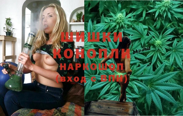 СК Аркадак