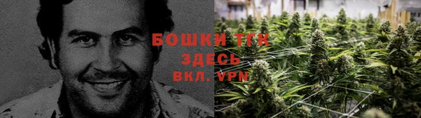СК Аркадак